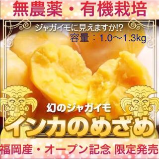 無農薬・有機栽培⭐️安すぎ‼️TVでマツコ絶賛‼️栗やナッツ風味・インカのめざめ(野菜)