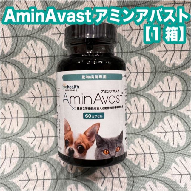 アミンアバスト300mg 60カプセル　1箱