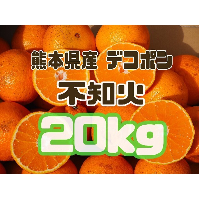 熊本県産 デコポン【不知火】箱込 20kg 家庭用