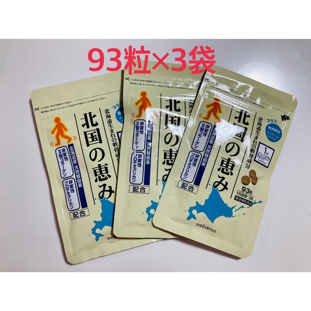 北国の恵み 93粒 3袋 www.krzysztofbialy.com