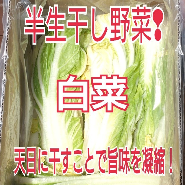 タイムセール❗《無農薬栽培》半生干し野菜　【たっぷり入った カット白菜2kg】 食品/飲料/酒の食品(野菜)の商品写真