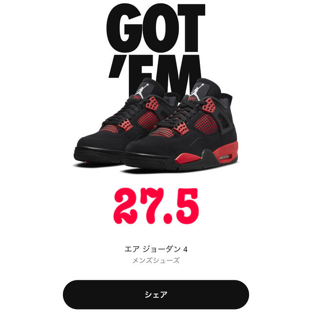 AIR JORDAN 4 レッドサンダー　クリムゾン