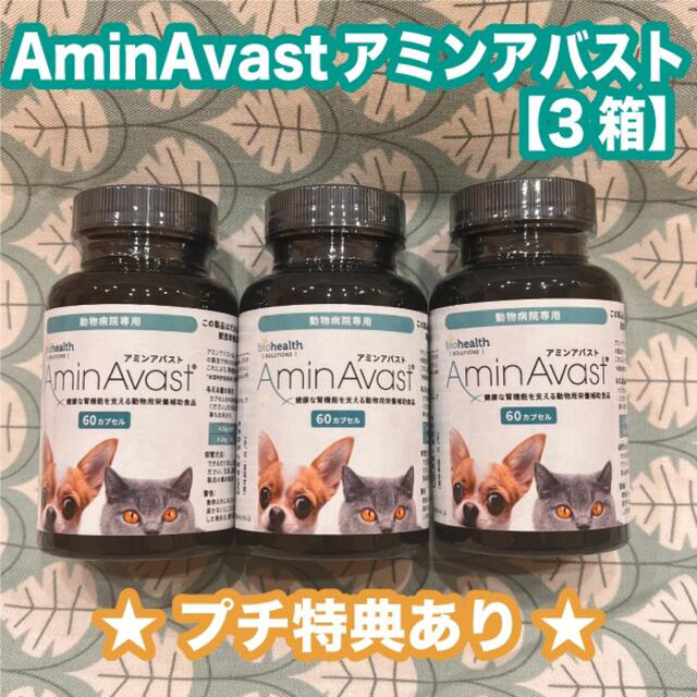 アミンアバスト 300mg 60カプセル 3箱〈おまけ付き〉 【限定品