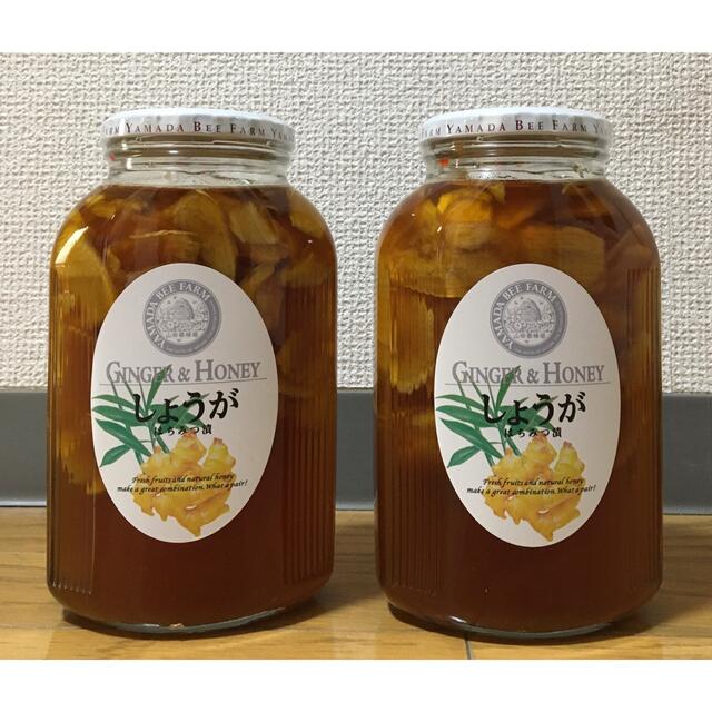 山田養蜂場 しょうがはちみつ漬 900g 2個セット - agrodolores.com