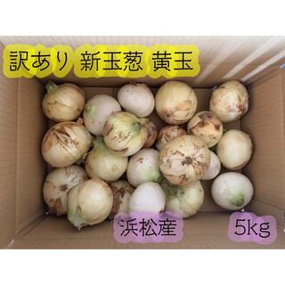 #2  訳あり 新玉ねぎ 新玉葱 黄玉 静岡県浜松産　5kg(野菜)