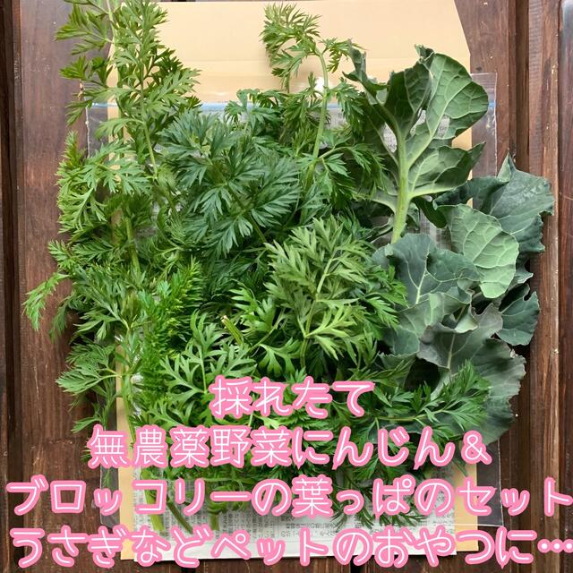 無農薬野菜＊採れたてにんじん＆ブロッコリーの葉っぱ＊約100g＊ネコポス＊ 食品/飲料/酒の食品(野菜)の商品写真