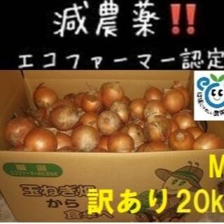 訳あり 北海道産玉ねぎ Mサイズ 20kg 1箱限定(野菜)