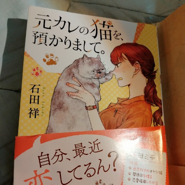 元カレの猫を、預かりまして。 エンタメ/ホビーの本(その他)の商品写真