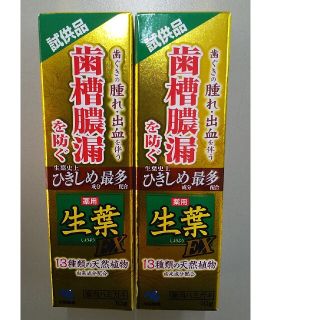 コバヤシセイヤク(小林製薬)の【achano様専用】小林製薬　生葉　試供品10g✕2個(歯磨き粉)