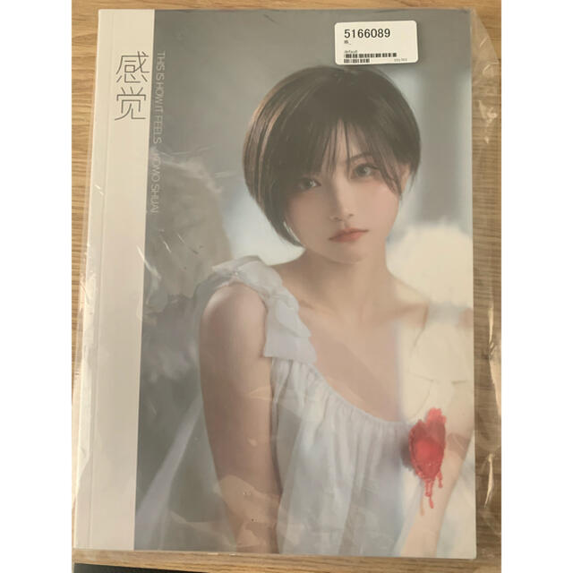 komoshuai 帅嘤嘤 「感覚」写真集 - 美術品/アンティーク komoshuai 帅嘤嘤 「感覚」写真集 - 美術品/アンティーク