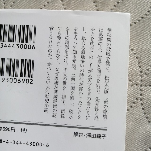 安部龍太郎★家康(一) 信長との同盟 エンタメ/ホビーの本(文学/小説)の商品写真