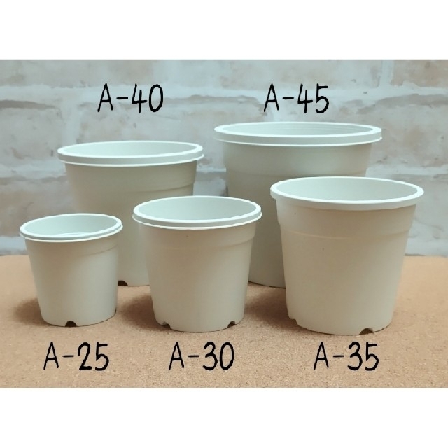 プラ鉢おためしセット♪【2.5号・3号・3.5号鉢 各5個】プレステラ 多肉植物 ハンドメイドのフラワー/ガーデン(プランター)の商品写真