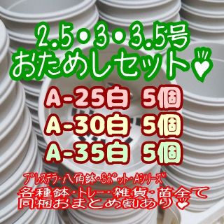 プラ鉢おためしセット♪【2.5号・3号・3.5号鉢 各5個】プレステラ 多肉植物(プランター)