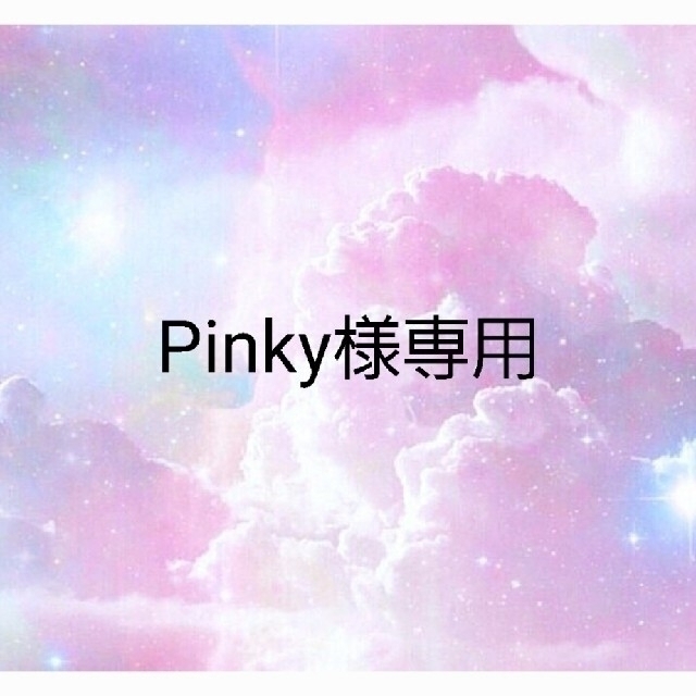 直販正規品 Pinky様専用ページ | www.ancientvalley.ge