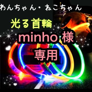 犬猫用　光る首輪　ペット用　夜の散歩　LED　充電式　事故防止　カット調整可能(リード/首輪)