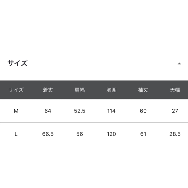 Champion(チャンピオン) 別注プリントパーカー　ニコアンド