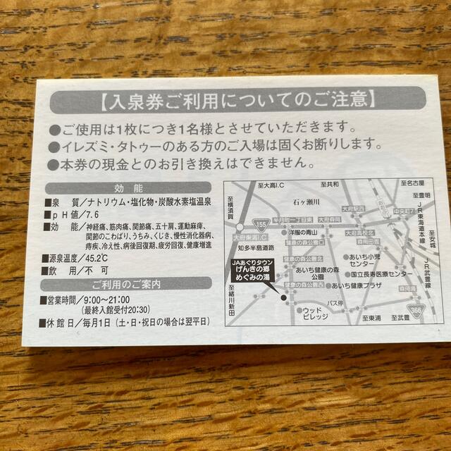 めぐみ湯大人入泉券20枚 - その他