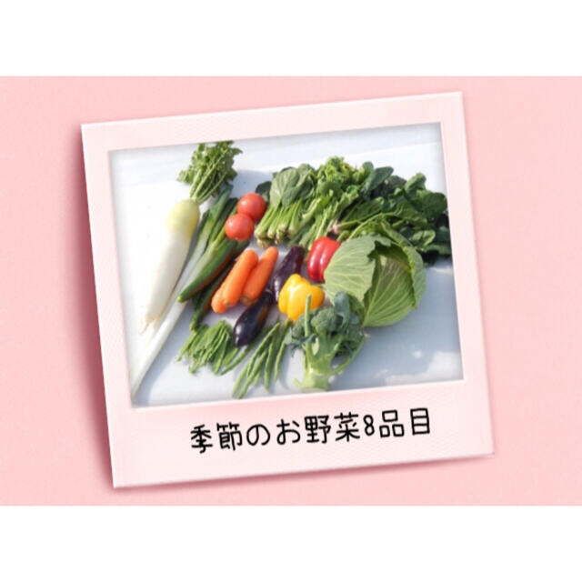 クール便　季節の有機野菜セット　8品目　サイズ80 食品/飲料/酒の食品(野菜)の商品写真