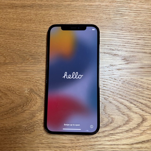 かわいい新作 Apple - 256GB ID不調】iPhone12Pro あやか様専用【傷有 特販格安 壺やん様のご友人様専用 プラモデル