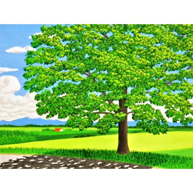 ★美瑛・セブンスターの木・谷村一男肉筆油彩画・4つ切・新品額付 ★美瑛・セブンスターの木・谷村一男肉筆油彩画・4つ切・新品額付