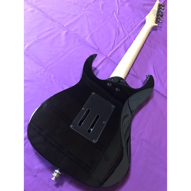 アイバニーズ ギター RG450DX | www.carmenundmelanie.at