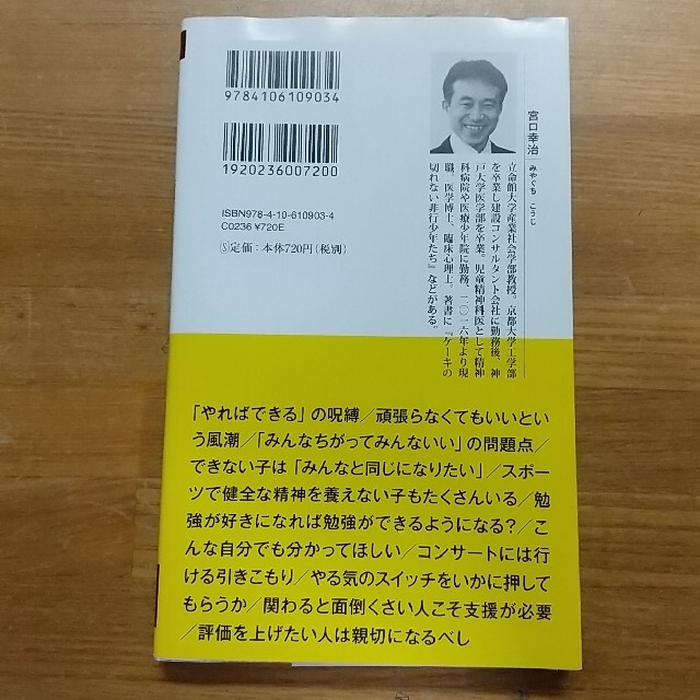 どうしても頑張れない人たち ケーキの切れない非行少年たち　２ エンタメ/ホビーの本(その他)の商品写真