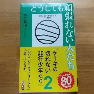 どうしても頑張れない人たち ケーキの切れない非行少年たち　２(その他)