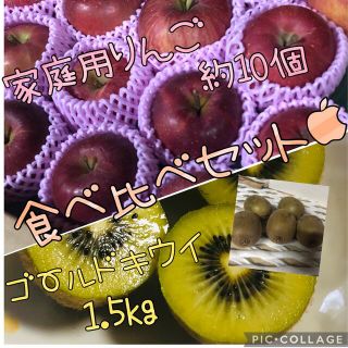 説明文必読　ふじ　りんご約10個　ゴールドキウイ1.5kg 青森県平川産(フルーツ)