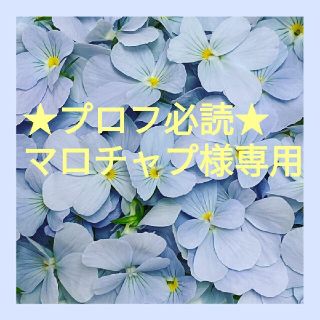 ★プロフ必読★マロチャプ様専用(その他)