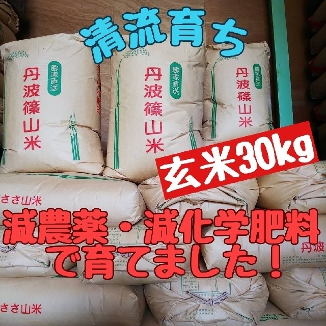 清流育ち 兵庫県丹波篠山米 玄米30kg(減農薬,減化学肥料栽培)