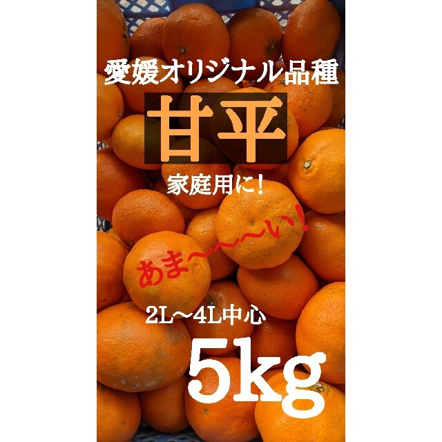 愛媛県大三島産　あま〜い甘平　5kg 食品/飲料/酒の食品(フルーツ)の商品写真