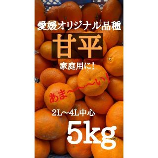 愛媛県大三島産　あま〜い甘平　5kg(フルーツ)