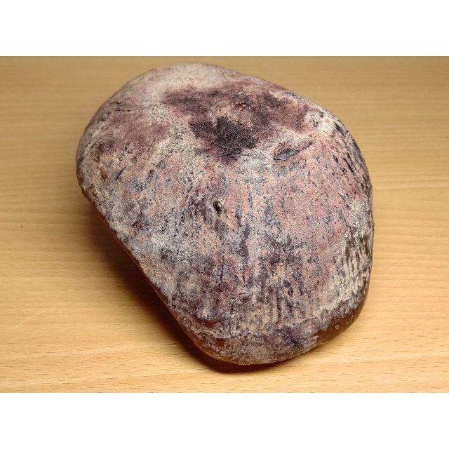 琥珀 890g アンバー 化石 原石 鑑賞石 自然石 宝石 ジュエリー