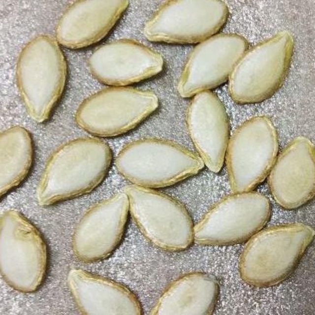 RD0129　バターナッツの種　20粒　かぼちゃ　Seed　タネ 食品/飲料/酒の食品(野菜)の商品写真