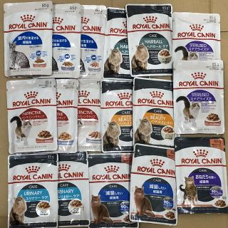 ロイヤルカナン(ROYAL CANIN)のロイヤルカナン 成猫用ウェットフード12種17点セット(ペットフード)