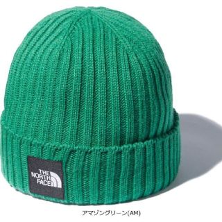 ザノースフェイス(THE NORTH FACE)のTHE NORTH FACE　ニット帽(ニット帽/ビーニー)