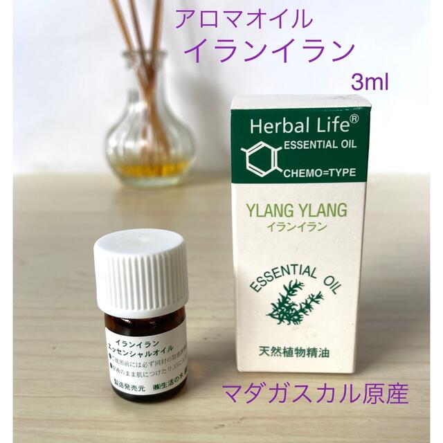 生活の木(セイカツノキ)のアロマオイル　イランイラン　マダガスカル原産　3ml エッセンシャルオイル　精油 コスメ/美容のリラクゼーション(エッセンシャルオイル（精油）)の商品写真