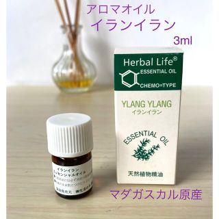 セイカツノキ(生活の木)のアロマオイル　イランイラン　マダガスカル原産　3ml エッセンシャルオイル　精油(エッセンシャルオイル（精油）)