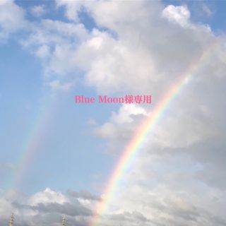 Blue Moon様専用(その他)