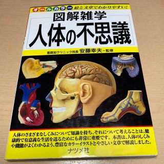 人体の不思議 図解雑学　絵と文章でわかりやすい！　オ－ルカラ－(人文/社会)