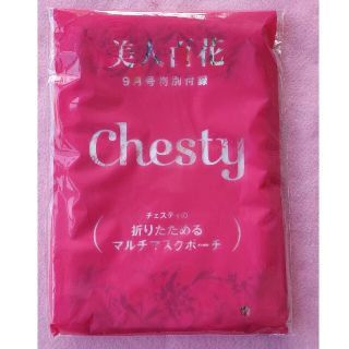 チェスティ(Chesty)の【新品未使用】chesty　チェスティ　折りたためるマルチマスクポーチ(ポーチ)