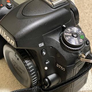 NIKON D750 & SIGMA 70-200mm f2.8