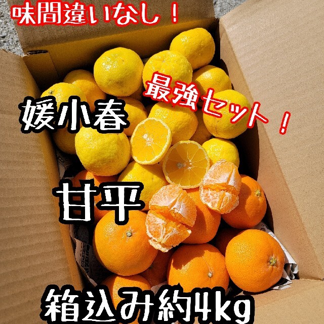 パターン 愛媛県産 甘平 媛小春 少し訳あり 箱込み約4kg柑橘 ミカン ...