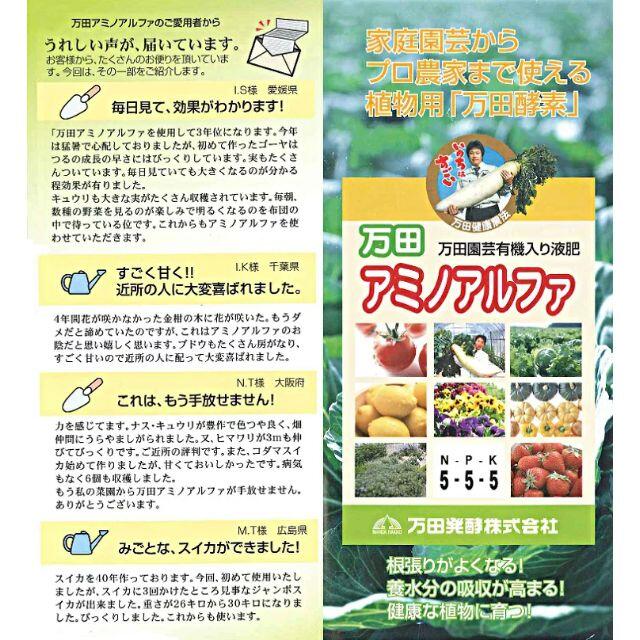 ★【送料無料・新品未開封品】万田アミノアルファ　１００ｍｌ　取扱い説明書付★ その他のペット用品(その他)の商品写真