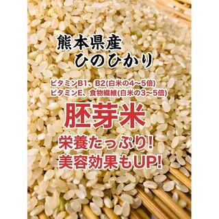 熊本県産★ヒノヒカリ胚芽米１０キロ★栄誉価抜群★健康食★特別栽培米