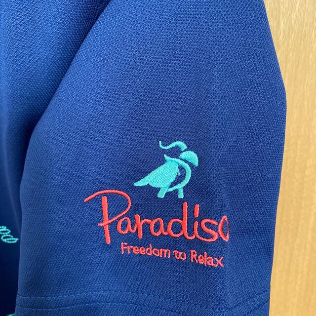Paradiso(パラディーゾ)のレディースゴルフポロシャツL スポーツ/アウトドアのゴルフ(ウエア)の商品写真