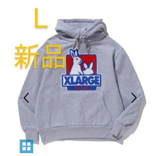 エクストララージ(XLARGE)のFR2 × XLARGE Fxxk Icon フーディー　Ｌサイズ　グレー　新品(パーカー)