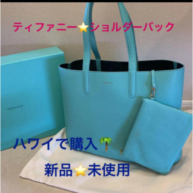 Ty & Co. - ティファニーバッグ⭐️新品ハワイ購入‼大好きな彼女