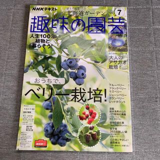 NHK 趣味の園芸 2020年 07月号(その他)