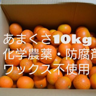 生産者直送 あまくさ 10kg(箱込み)(フルーツ)